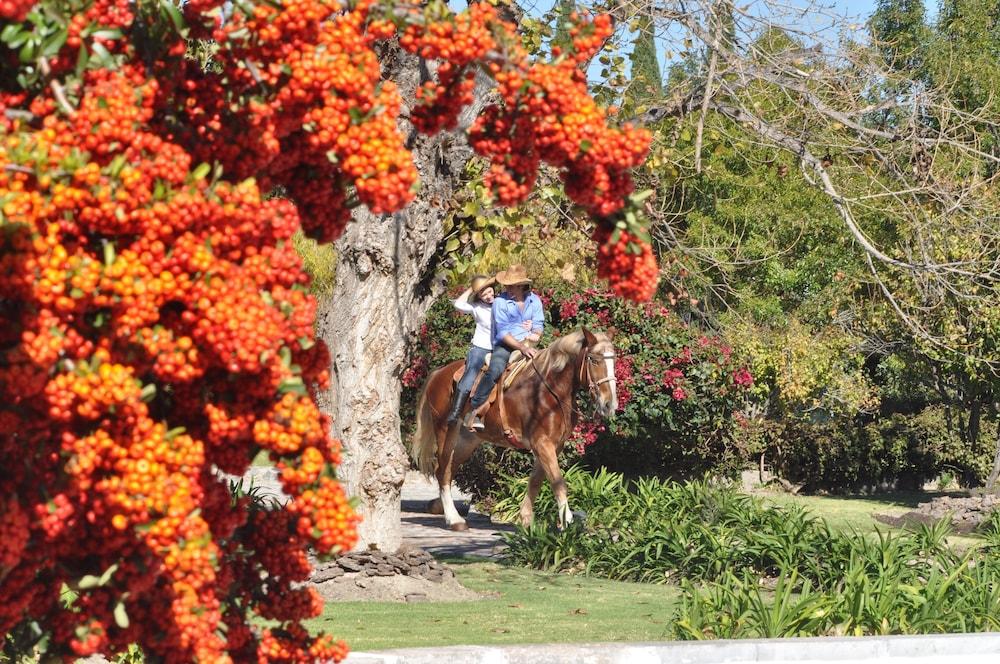 Hotel Hacienda Cantalagua Golf Contepec Dış mekan fotoğraf